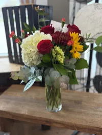 The Trophy Wife – Image 1
