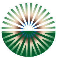 Individual Excellence Coaching – Image 1