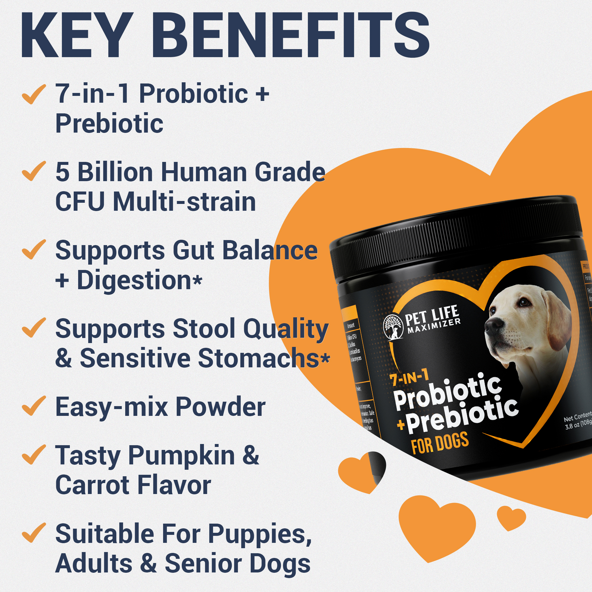 7-in-1 Probiotic + Prebiotic – Image 6