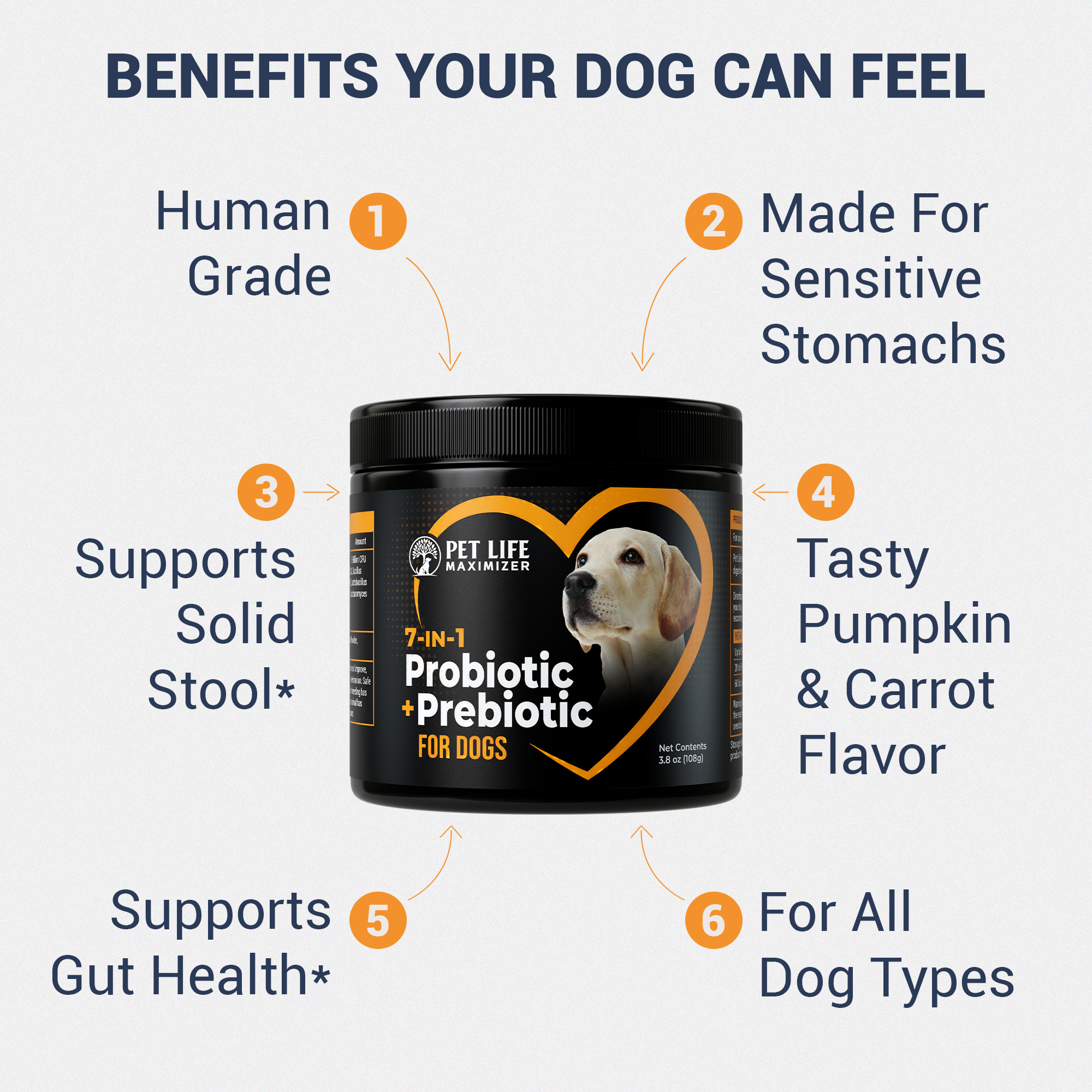 7-in-1 Probiotic + Prebiotic – Image 2