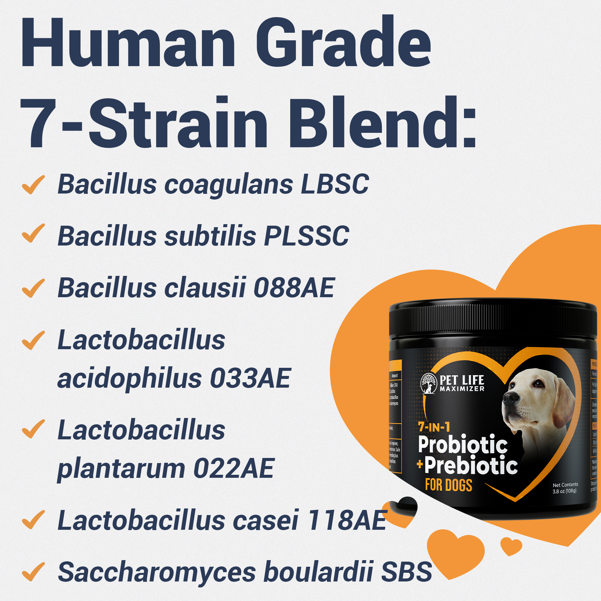 7-in-1 Probiotic + Prebiotic – Image 5