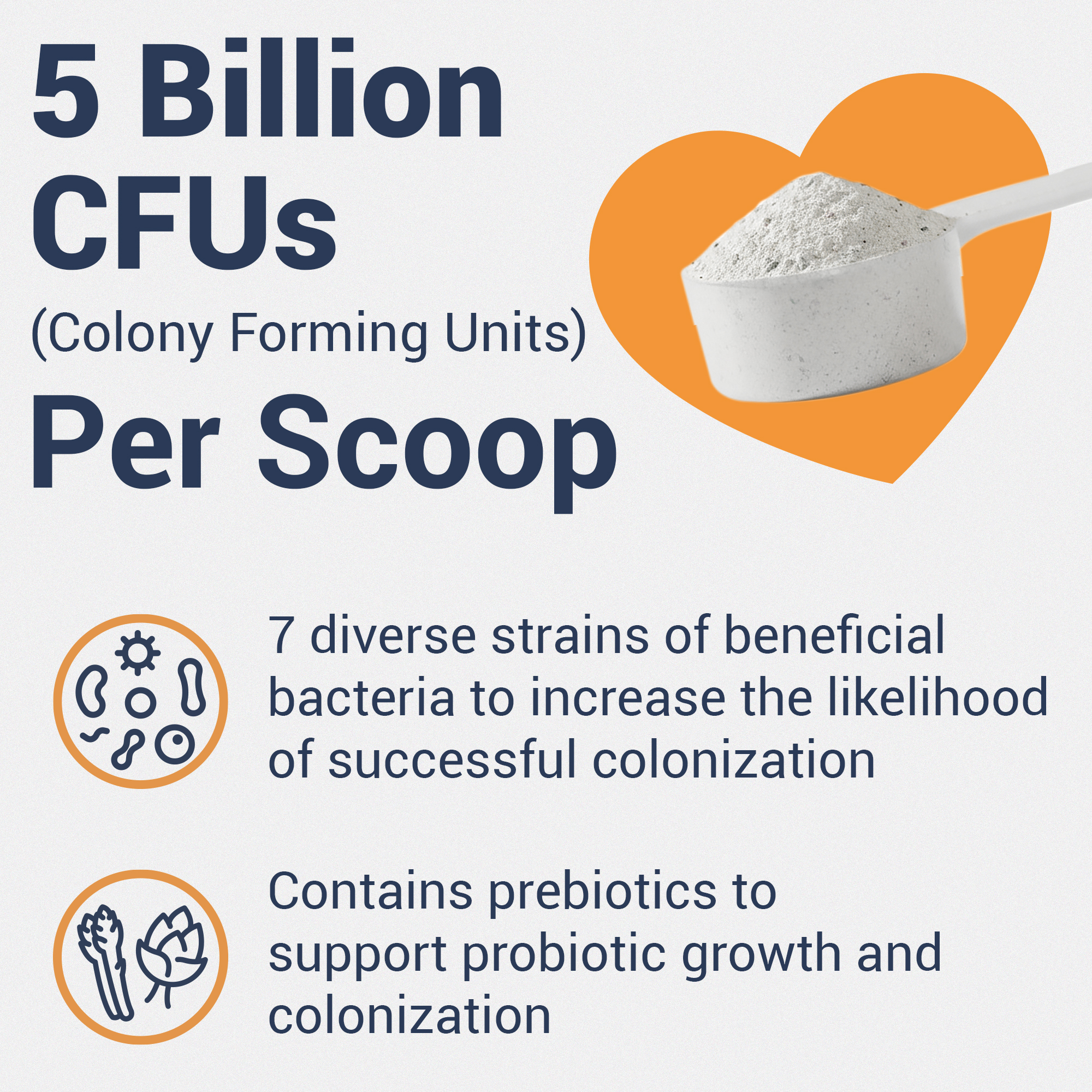 7-in-1 Probiotic + Prebiotic – Image 3