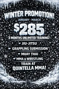 3 Month Jan - March Promotion – Image 1