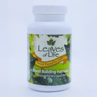 Blood Building Formula – Image 1