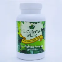 F3 -Fat Fighting Formula – Image 1