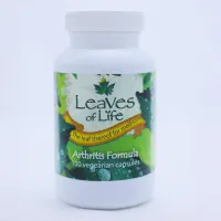 Arthritis Formula – Image 1