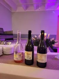 Kombucha 750 ml – Image 4
