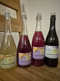 Kombucha 750 ml – Image 3