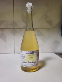 Kombucha 750 ml – Image 2