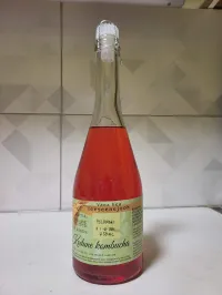 Kombucha 750 ml – Image 1