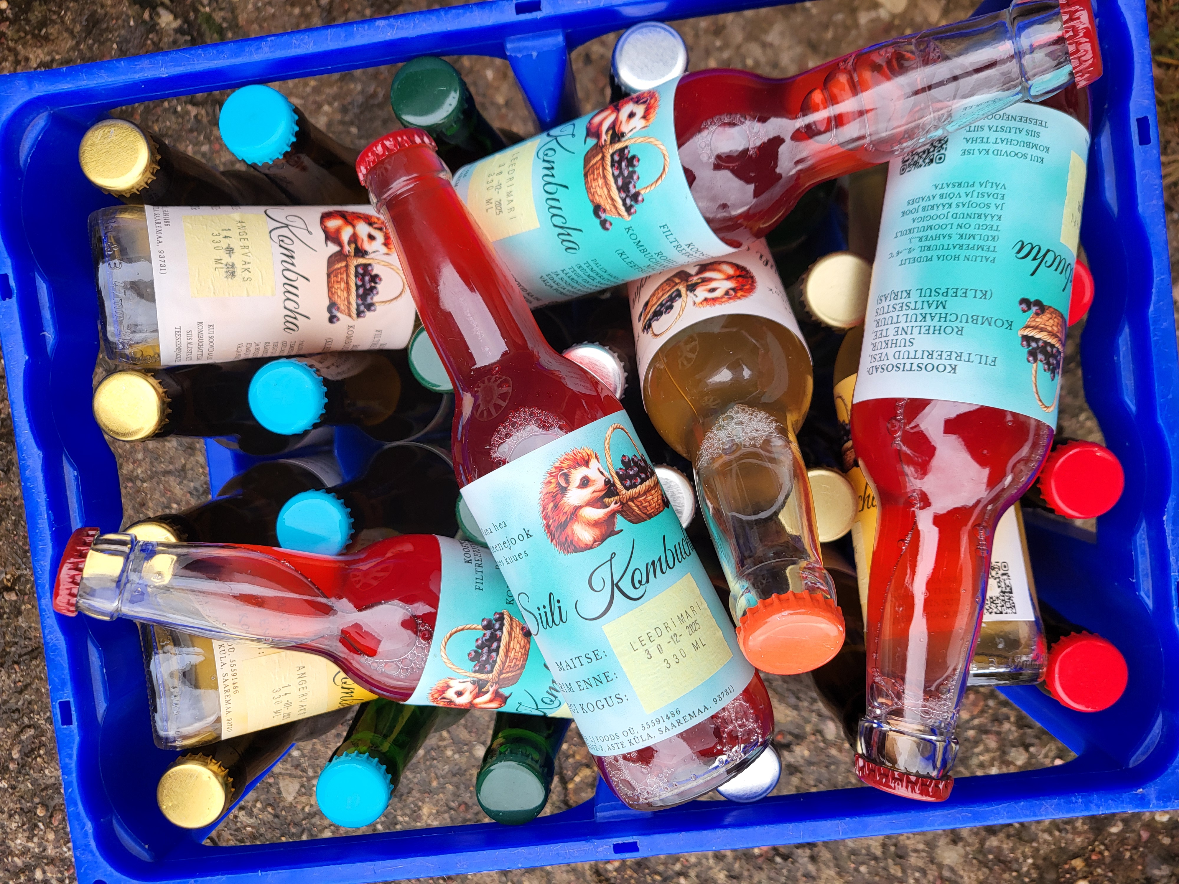 Kombucha advendikalender  – Image 2