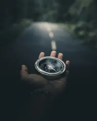 🌳 Roots & Routes: A Journey Through Family & Ancestry 🗺️ – Image 2