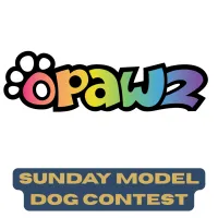 MODEL DOG CONTEST OPAWZ SUN Nov 23rd – Image 1
