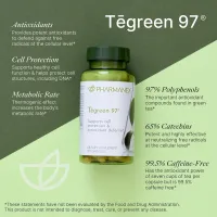 Tēgreen 97 – Image 2