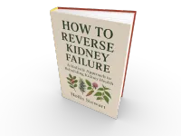 How To Reverse Kidney Failure – Image 1
