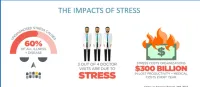 Stress Quotient® – Image 6