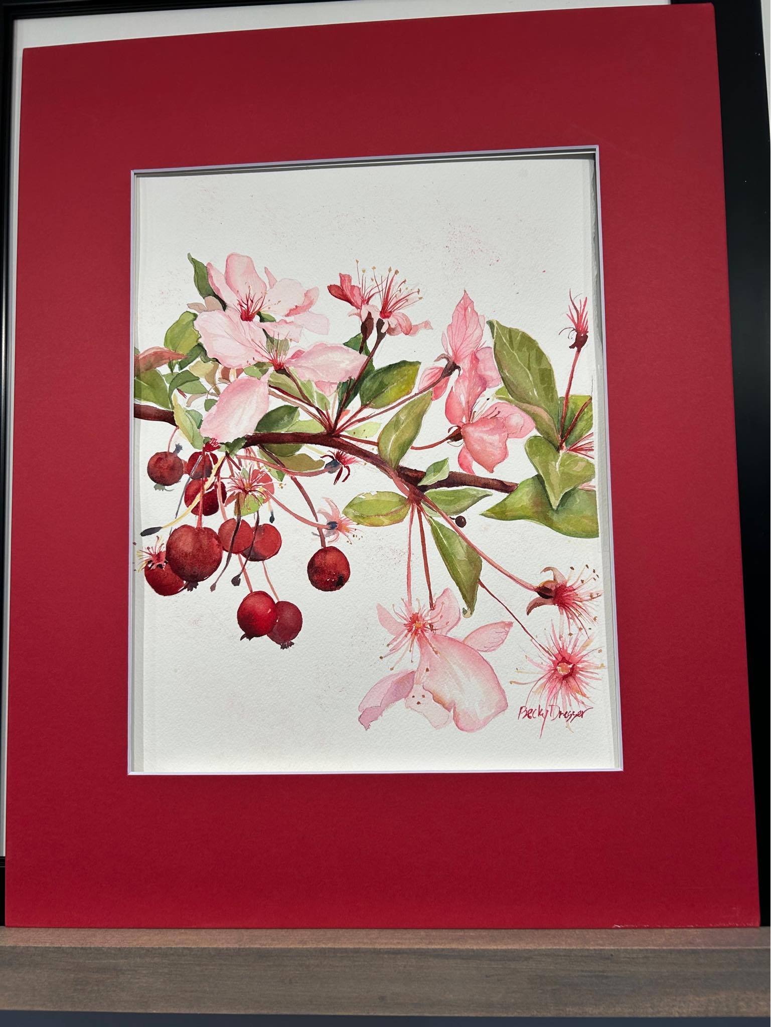 Red and White Flowers – Image 1