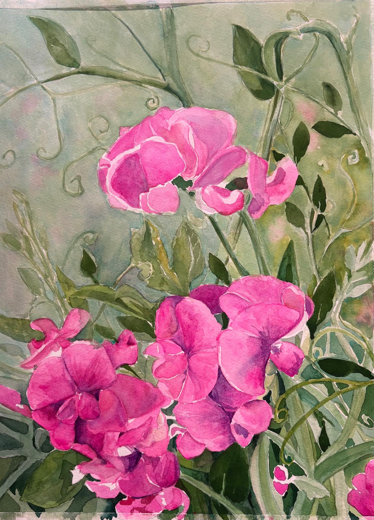 Pink Flowers – Image 1