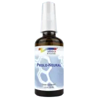Prolo-Neural – Image 1