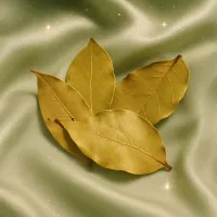 Bay Leaf Ritual of Release and Renewal – Image 3