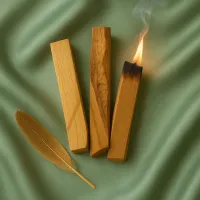  Palo Santo Ritual of Vision and Divination – Image 3