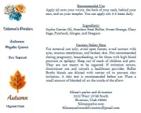 Autumn Mystic Grove Roller Bottle Essential Oil Blend – Image 3