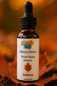 Forest Spirit Essence Aromatherapy Essential Oil Blend – Image 1
