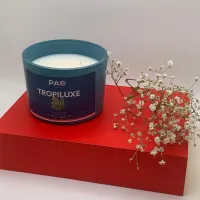 16 Oz Scented Candles Tropiluxe – Image 4