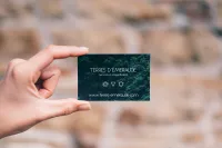 Business Card Upload 250 – Image 2
