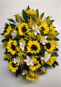 Luz que Permanece – Image 1