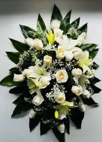 Armonía Eterna – Image 1