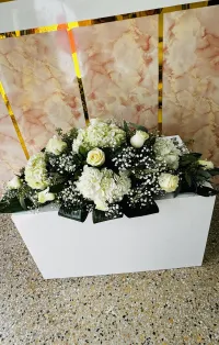 Luz en el Camino – Image 1