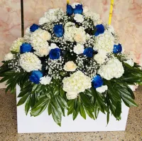 Alas de Paz – Image 1