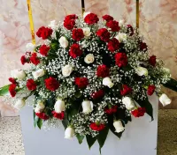 Te amaré Siempre – Image 1