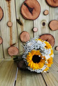 Amor para Toda la Vida – Image 1