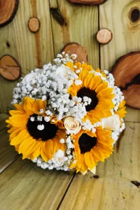 Amor para Toda la Vida – Image 2