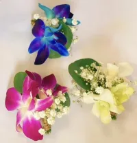 Elegancia del Novio – Image 1