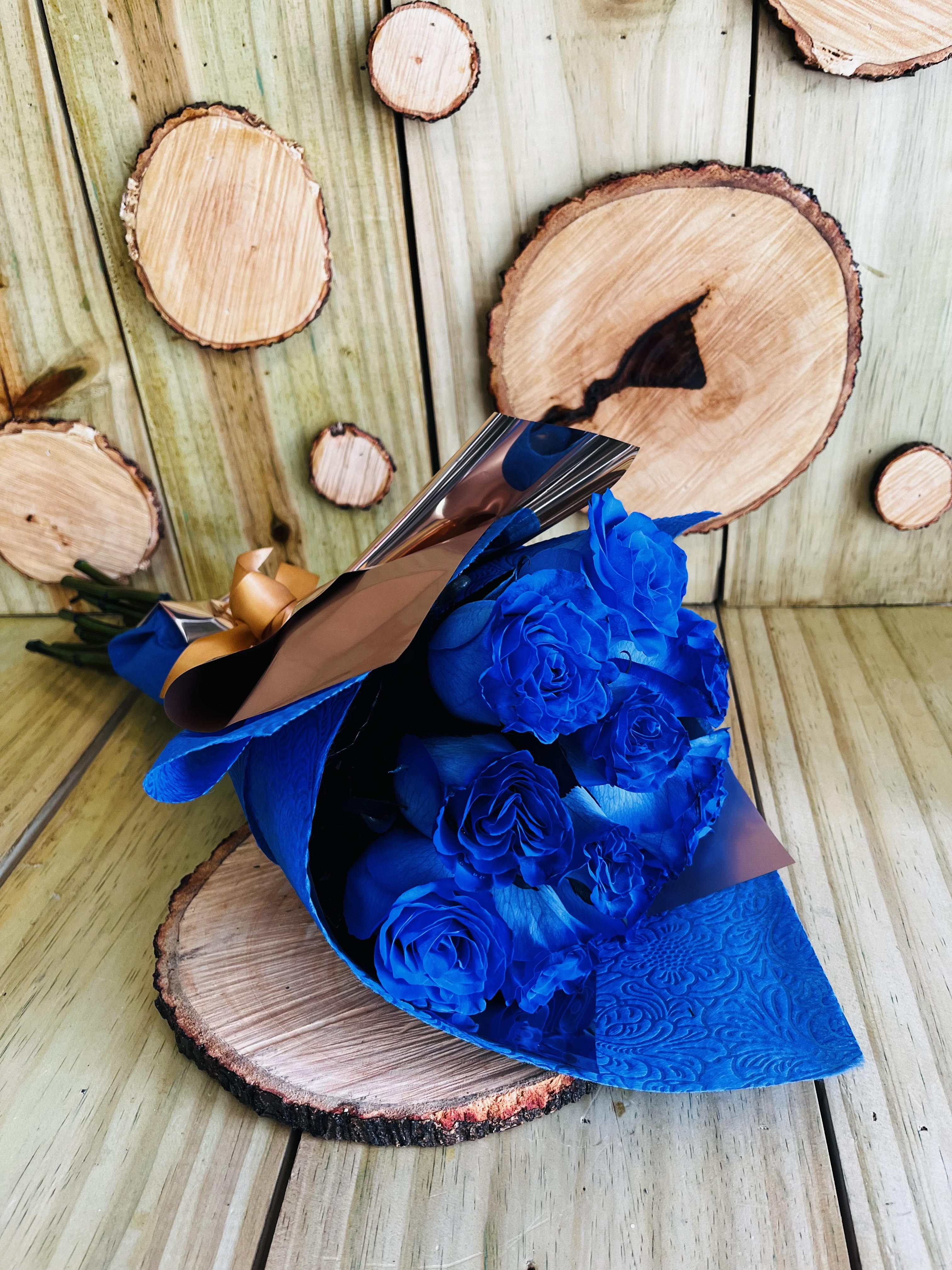 Encanto – Image 1