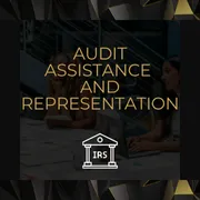 AUDIT ASSISTANCE AND REPRESENTATION – Image 1