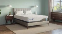 Harmony Chill 2.0 – Image 6