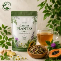 Kristea Éveil des Plantes – Image 1