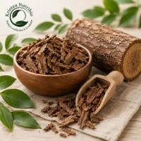Pau d'Arco — Lapacho (100g) – Image 1