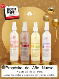 Kit de Propostio 2026 – Image 1