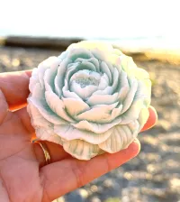 Goat’s Milk Peony Soap - Island Mint – Image 1