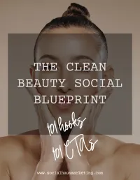 200+ Hooks + CTAs | The Clean Beauty Social Blueprint – Image 1