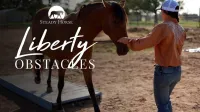 Liberty Obstacles: Developing Freedom and Focus with Obstacle Training – Image 1
