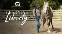 Learning Liberty – Image 1