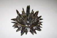 urchin jar ଘ(੭◌ˊᵕˋ)੭*⋆｡°✩ – Image 4