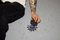 urchin jar ଘ(੭◌ˊᵕˋ)੭*⋆｡°✩ – Image 3