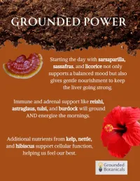 Grounded Power – Image 2